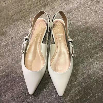 Cheap Christian Dior shoes wholesale No. 173